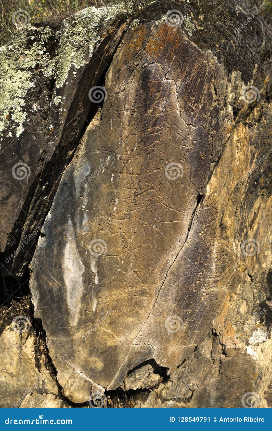coa river Ã¢â¬â prehistoric rock engravings